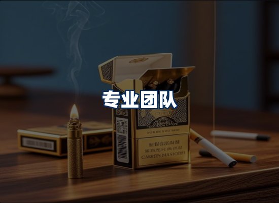 专业团队
